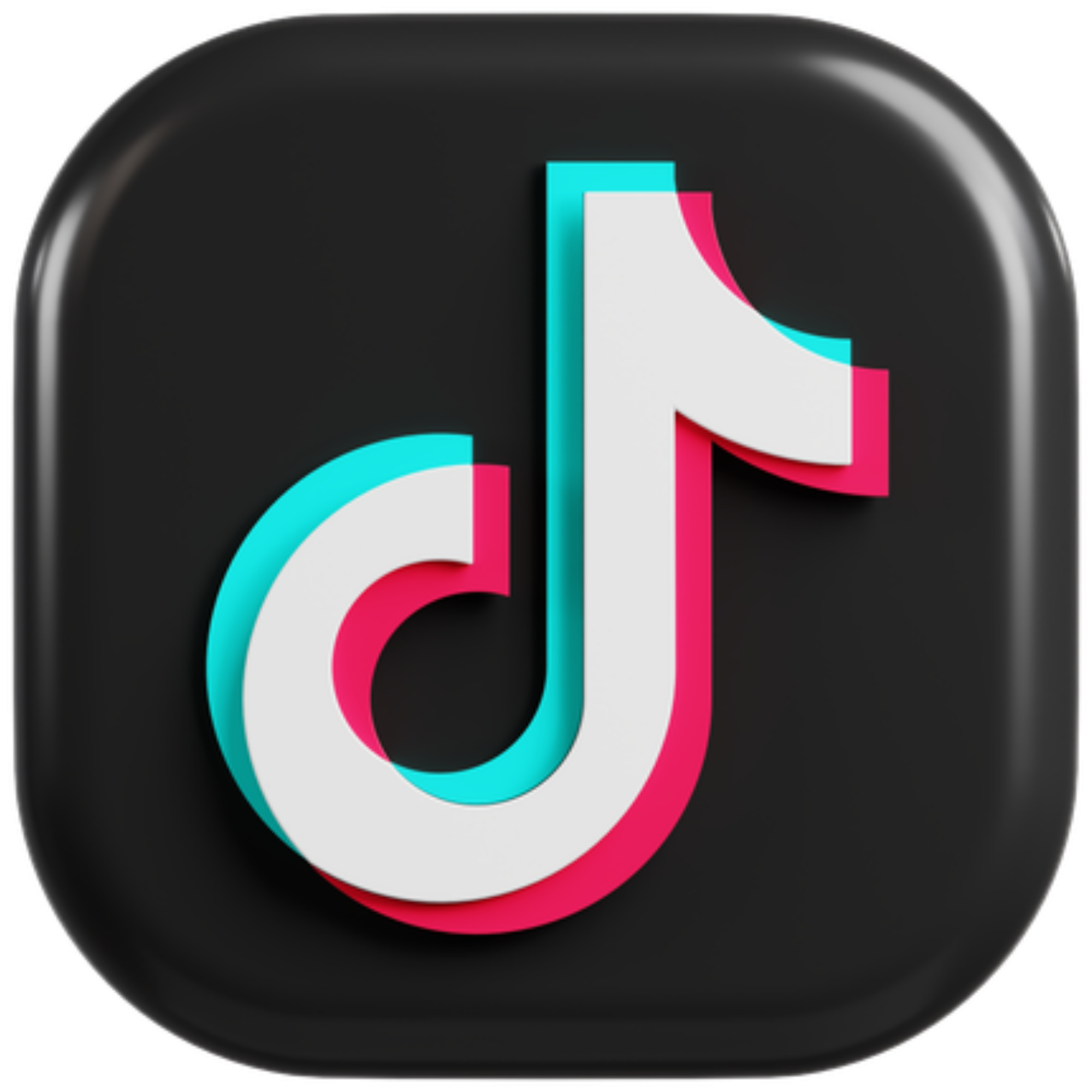 TikTok Logo